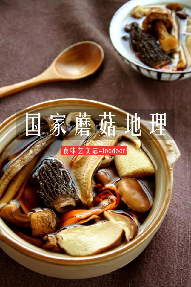 國(guó)家蘑菇地理：中國(guó)哪里的蘑菇最好吃？